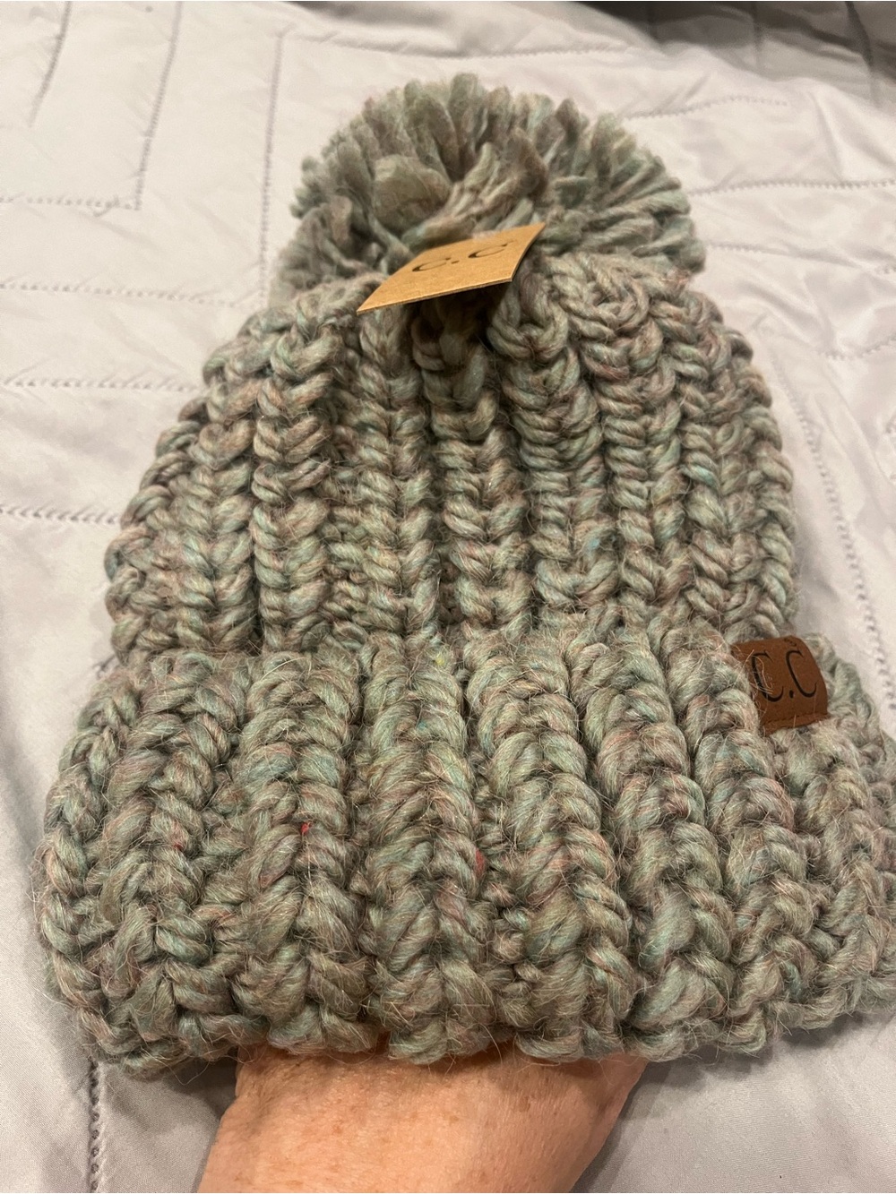 C.C Marled Mint-Taupe Chunky Pom Beanie